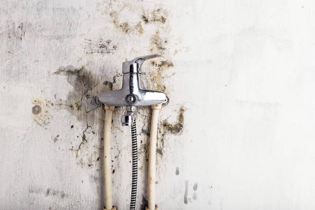  Henryetta, OK Mold Removal Pros