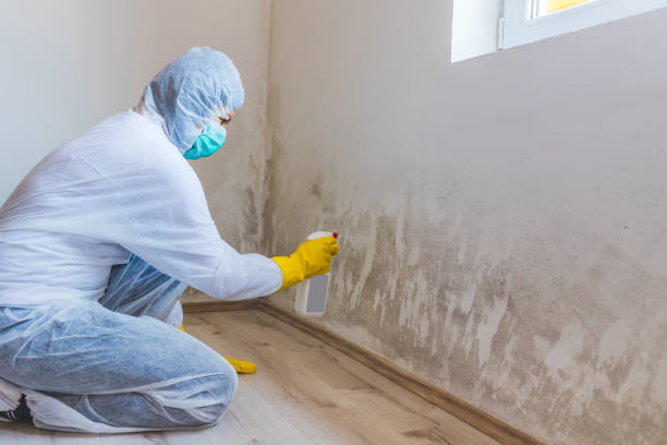 Certified Mold Removal in Henryetta, OK