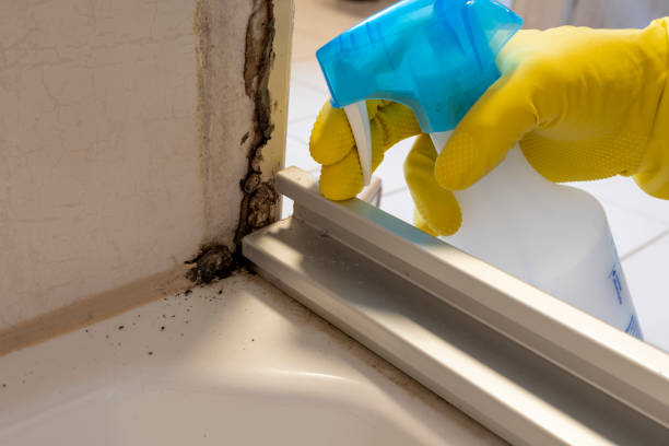 Best Residential Mold Removal  in Henryetta, OK