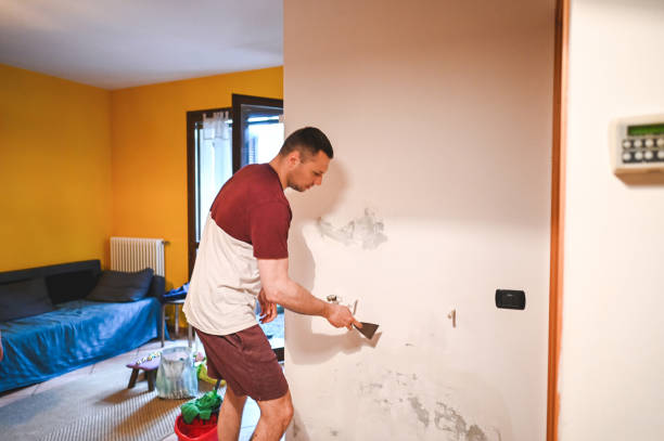 Office Mold Removal Services in Henryetta, OK