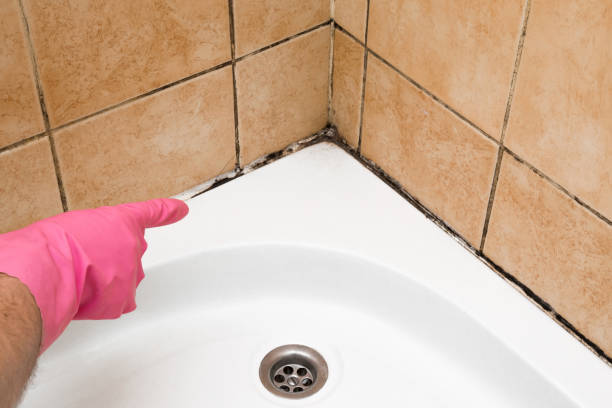 Best Best Mold Removal Companies  in Henryetta, OK